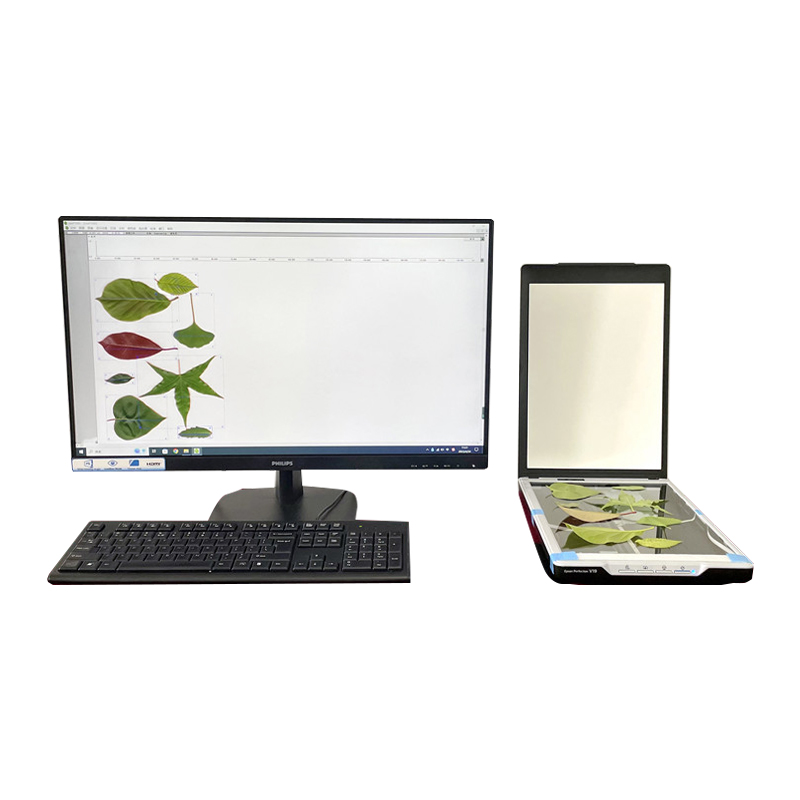 叶片图像分析系统