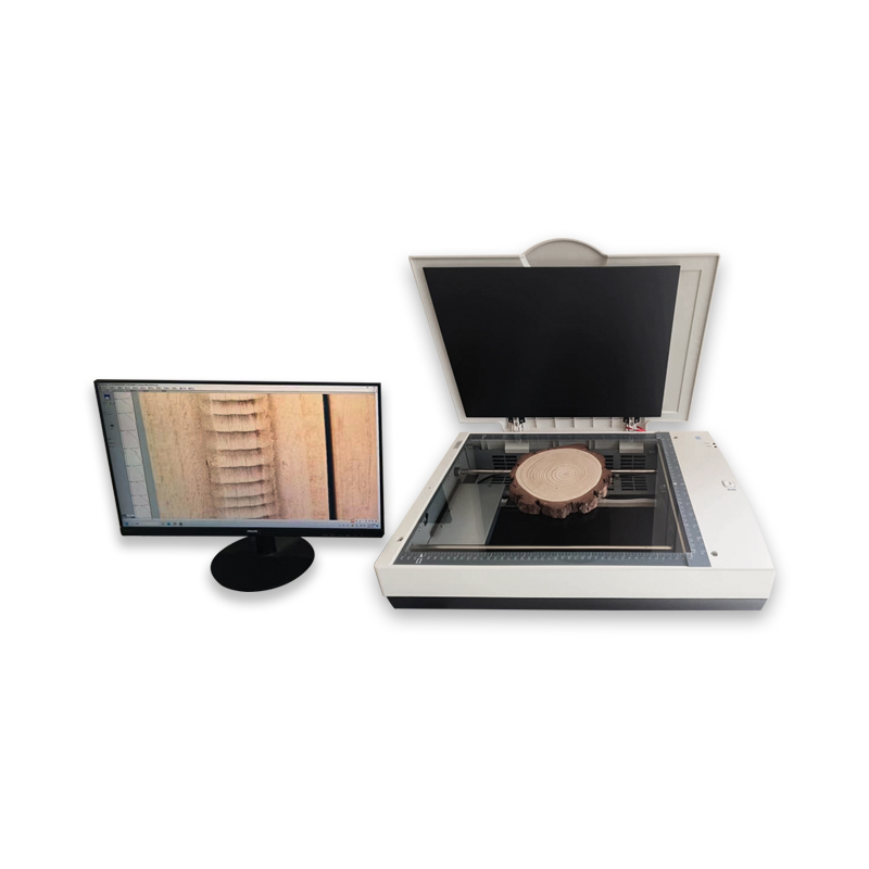 树木年轮分析系统