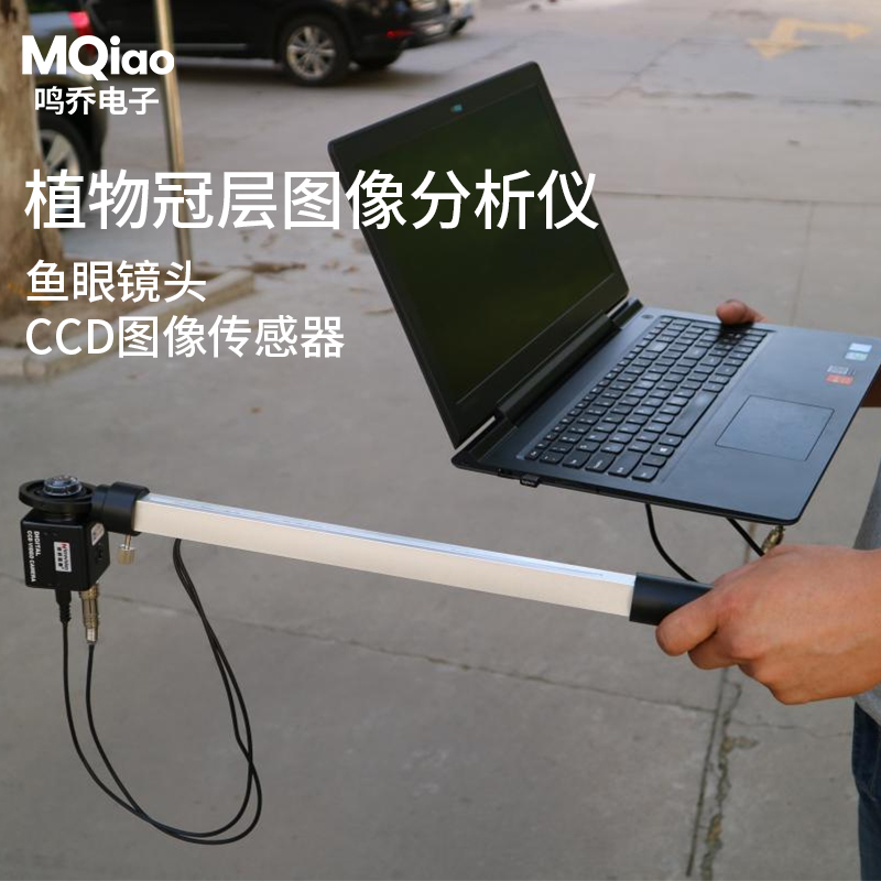 未标题-2 未标题-2